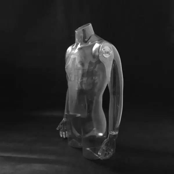 Torso maschile