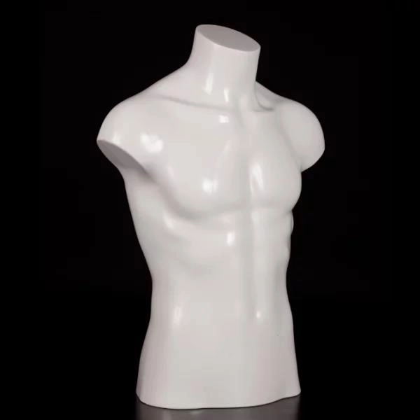 Modello maschile a mezzo busto Modello maschile a mezzo busto