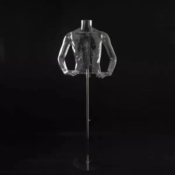 Modello maschile a mezzo corpo (struttura portante) Modello maschile a mezzo corpo (struttura portante)